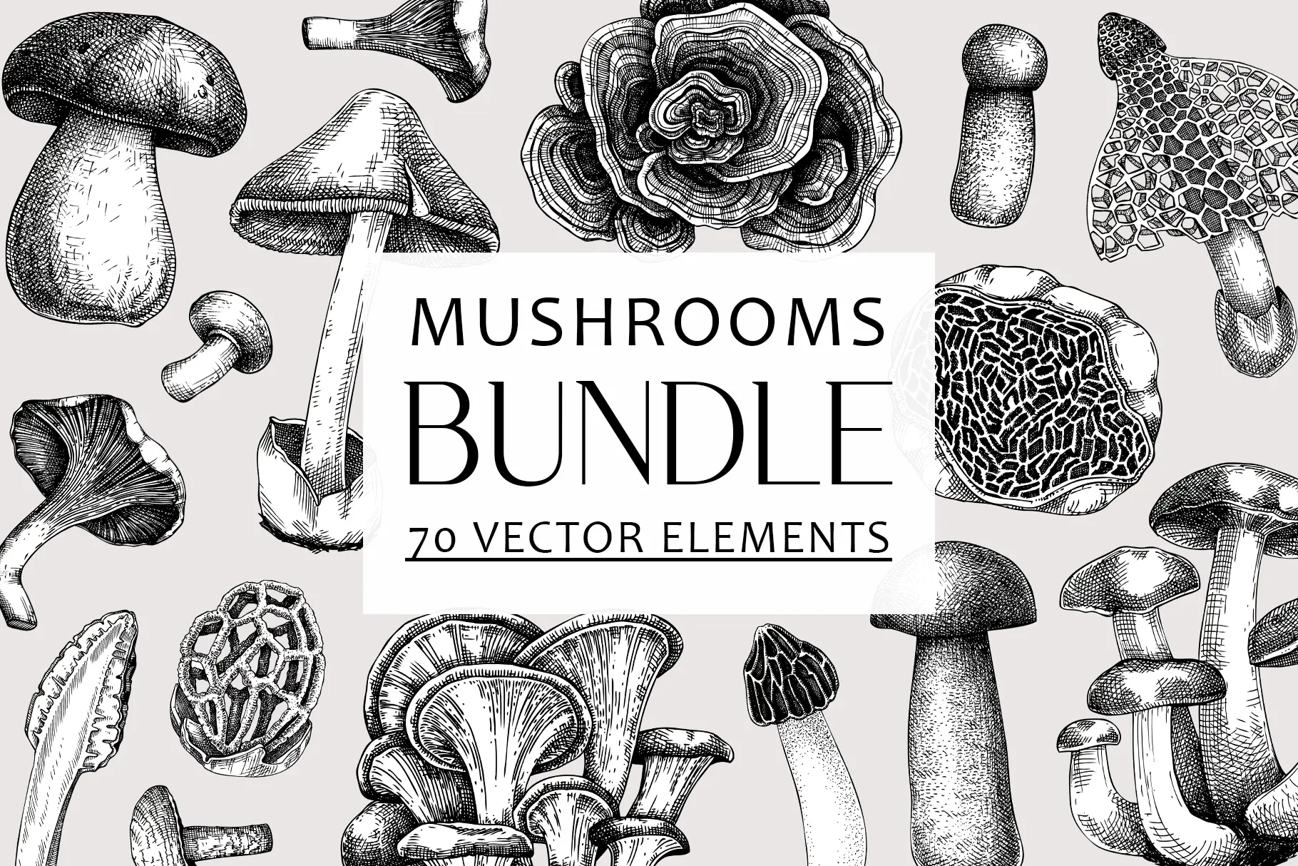 BUNDLE - Mushrooms. Vector Sketches Illustration
